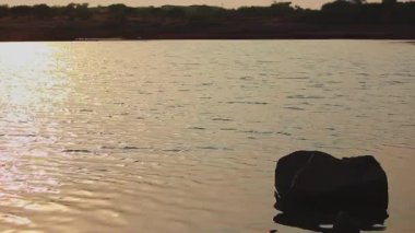 Nehir gölü yüzeyinde gün batımı yaz mevsimi. Yüksek kaliteli FullHD görüntüler