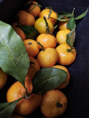 Arka planda yaprakları olan taze portakal meyveleri, üst görünüm