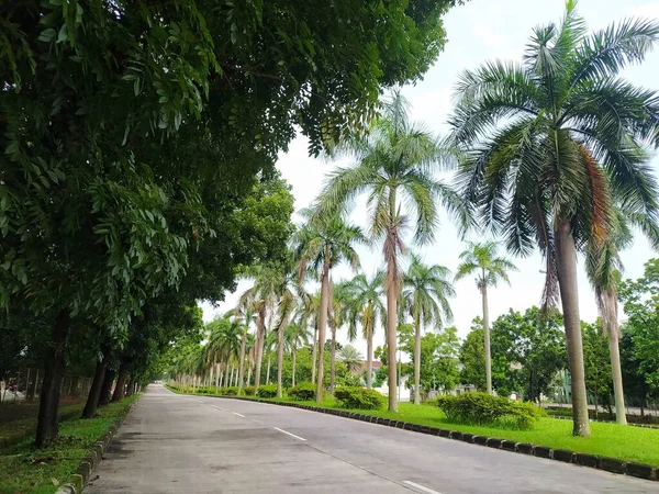 Autobahn Einem Industriegebiet Palmen Und Andere Bäume Die Die Ränder — Stockfoto