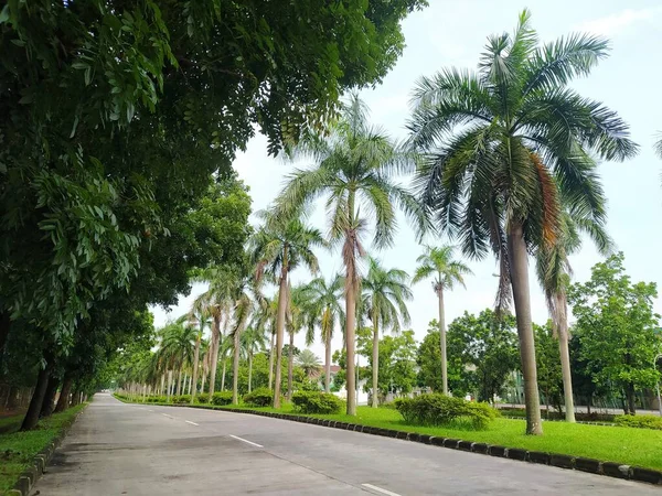 Autobahn Einem Industriegebiet Palmen Und Andere Bäume Die Die Ränder — Stockfoto
