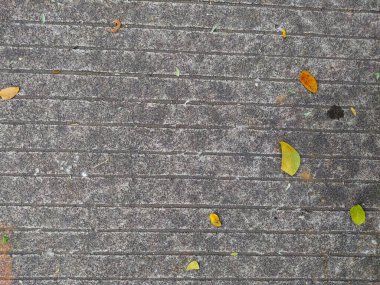 Çizgili beton yol yüzeyi. Kuru yapraklarla süslenmiş. arkaplan ve duvar kağıtları için