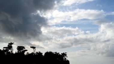 Yağmur ormanlarının üzerinde mavi gökyüzünde süzülen bulutların zamanı.