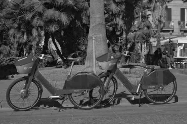 Two electric bicycles placed in Piazza Dante in Naples and available for bike sharing. Photo taken in black and white.