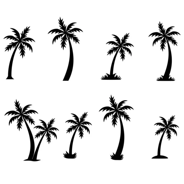Černé Palmy Zasazené Bílém Pozadí Palmové Siluety Znamení Tropických Palem — Stockový vektor