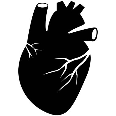 Beyaz arka planda kalp insan organı simgesi. Kalp organı işareti. Anatomik gerçekçi kalp sembolü. düz biçim. 
