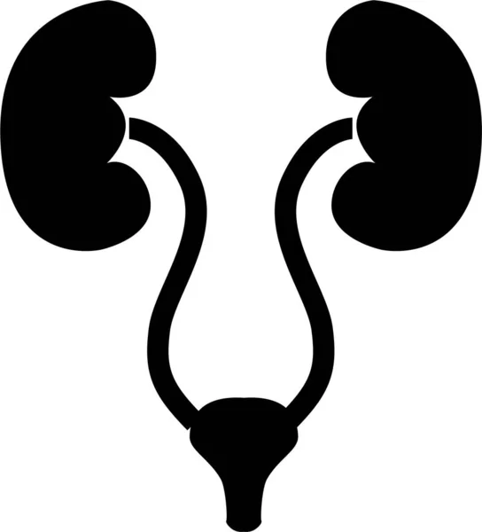 白い背景にヒト腎臓と膀胱のアイコン 泌尿器科ロゴコンセプト 泌尿器科のサインだ 尿路系のシンボル フラットなスタイル — ストックベクタ
