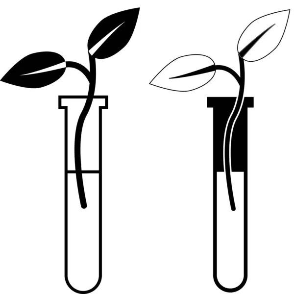 在白色背景的试管中带有叶子的芽 科学经验标志 发端于试管符号 扁平风格 — 图库矢量图片