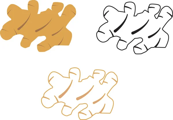 白色背景上的姜图标 姜黄标志 辛辣的药草线符号 姜根植物标识 扁平风格 — 图库矢量图片