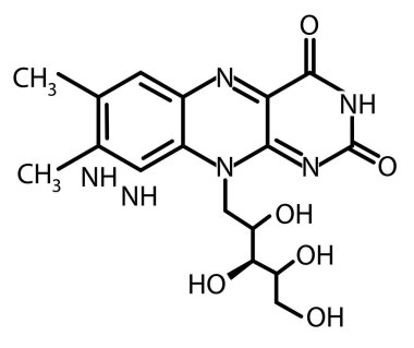 Vitamin B2 icon. Riboflavin Molecular chemical formula sign. Chemical structure of riboflavin symbol.  flat style.