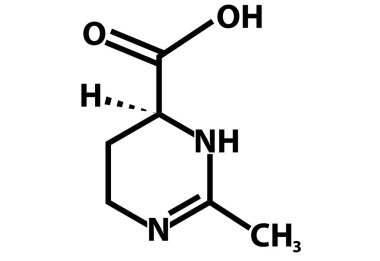Ektoin picolinate moleküler kimyasal formül ikonu. Ektoin bilgi grafiği işareti. Ectoine picolinate (C6H10N2O2) sembolünün kimyasal yapısı.