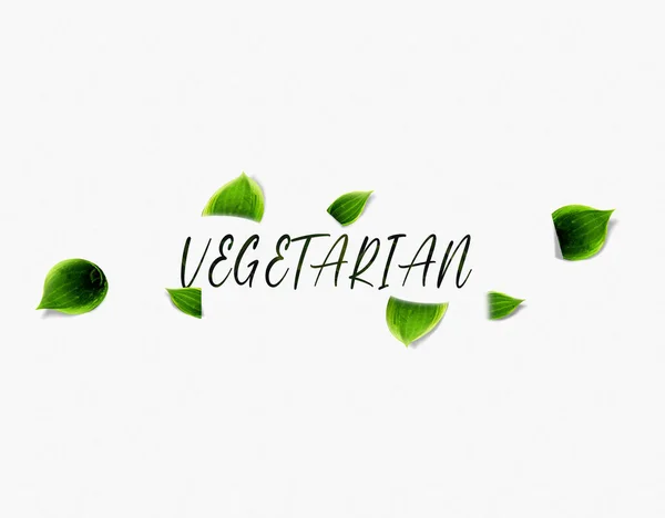Vegetarian Typography word with green leaf effects, Infographics with linear icons on white background. Isolated typography