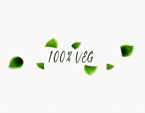 100% VEG  Typography word with green leaf effects, Infographics with linear icons on white background. Isolated typography