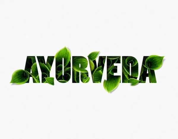 Ayurveda Typography word with green leaf effects, Infographics with linear icons on white background. Isolated typography