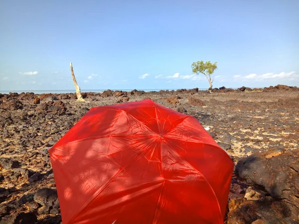 Rött Paraply Stranden Pasir Padi Naturbakgrund — Stockfoto