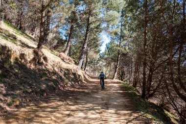 Hondarribia, İspanya 'daki Jaizkibel dağlarında bisikletli bir bisikletçi.