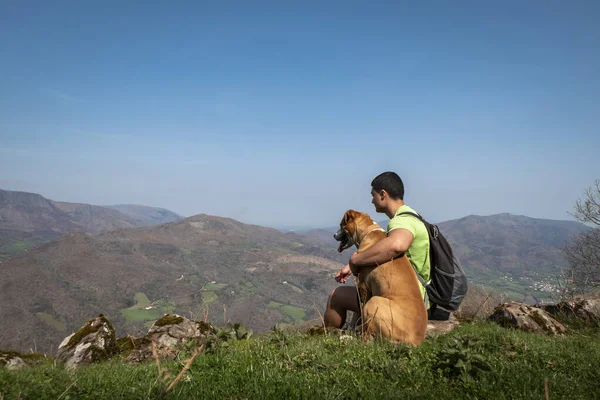 Genç turist köpeğiyle oturuyor ve Bask Bölgesi 'ndeki Jara Dağı' nın arka planında dağların ve köylerin tadını çıkarıyor.