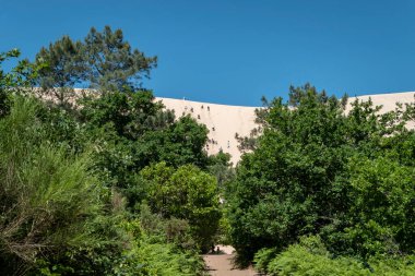 Pilat 'ın Kumulları' na giden yol ormanın arka planında Fransa 'daki kum tepelerine tırmanan bazı turistler var.