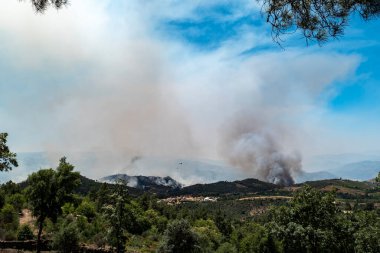 Arka planda alevlerle mücadele eden bir helikopterle büyük yangın.