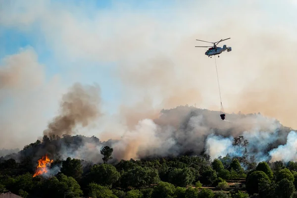 Helicóptero Transportando Agua Para Apagar Incendio Forestal Que Arde Pinar — Foto de Stock