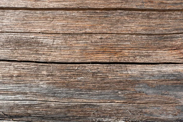 Textur Eines Gealterten Holzstammes Mit Einigen Rissen Der Oberfläche — Stockfoto