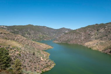 Tepeler ve dağlar arasında, Tua nehri Tras os Montes, Portekiz