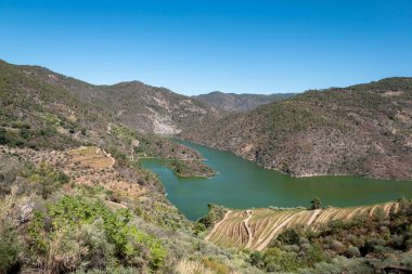 Tepeler ve dağlar arasında, Portekiz 'in Tras os Montes şehrinde nehrin ortasında küçük bir adası olan Tua Nehri.