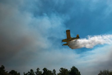 İtfaiyedeki uçak alevlerin üzerinden su boşaltıyor ve havada çok fazla duman var.