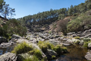 Portekiz 'in Serra do Alvao kentindeki Fisgas de Ermelo' daki kayalıklardan inen su yolu boyunca.