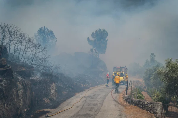 Incendio Forestal Dejando Una Enorme Nube Humo Con Bomberos Fondo — Foto de Stock