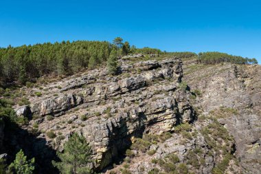 Serra do Alvao 'daki Fisgas de Ermelo' nun panoramik manzarası önü çam ormanlarıyla kaplı büyük ve yüksek uçurumlarla çevrili.