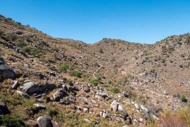 Dağ, ağaçlar ve taşlarla kaplı. Portekiz 'in ortasında toprak bir patika olan kayalar.