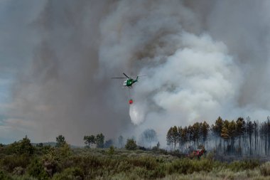 Helikopter çam ağacında yanan bir orman yangını üzerine su boşaltıyor. Büyük beyaz ve siyah bir duman bulutu bırakıyor.