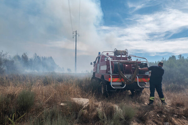 Пожарные со своим грузовиком в борьбе с лесным пожаром