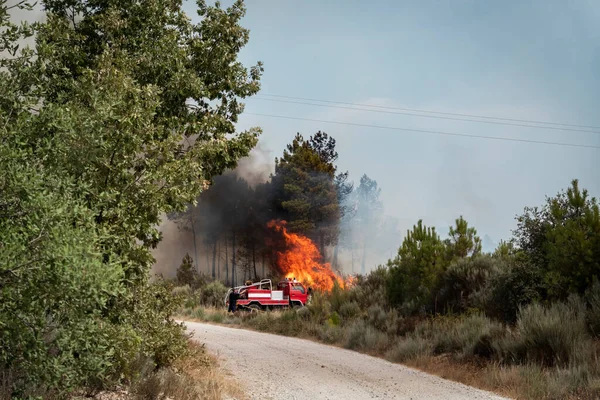 stock image Forest firefighters fighting a forest fire next to their vehicle in Portugal