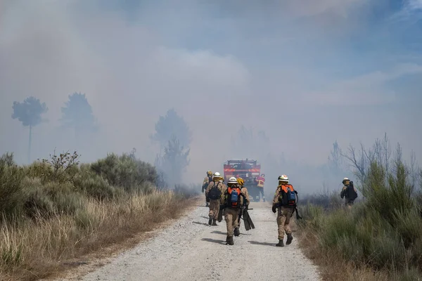 Incendios Forestales Con Bomberos Vehículo Lucha Contra Fuego — Foto de Stock