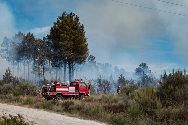 Пожарные со своим грузовиком в борьбе с лесным пожаром, который горит и уже сжег часть леса оставляя большое облако дыма в воздухе