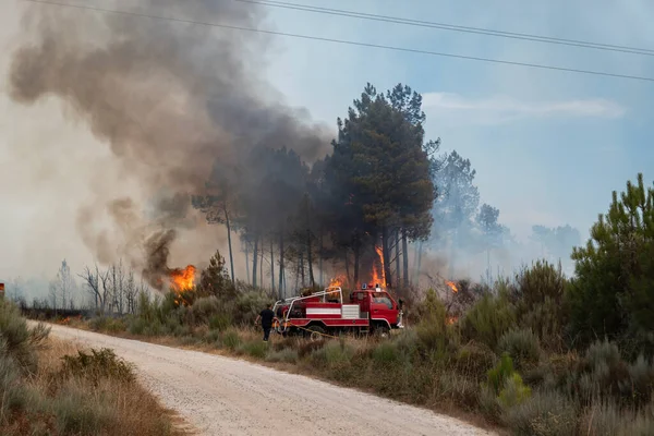 Forest firefighters fighting a forest fire next to their vehicle in Portugal