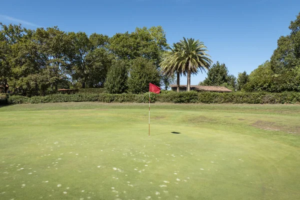芝生のゴルフ場は木々に囲まれ 芝生の上に赤い旗 — ストック写真