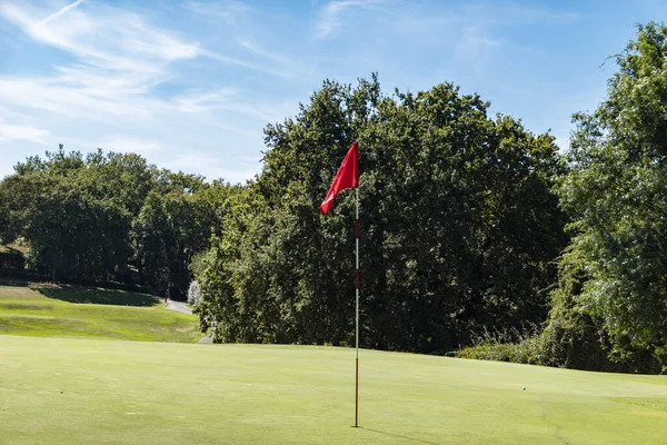 Mitt Några Träd Golfbana Med Röd Flagga Gräsmattan — Stockfoto