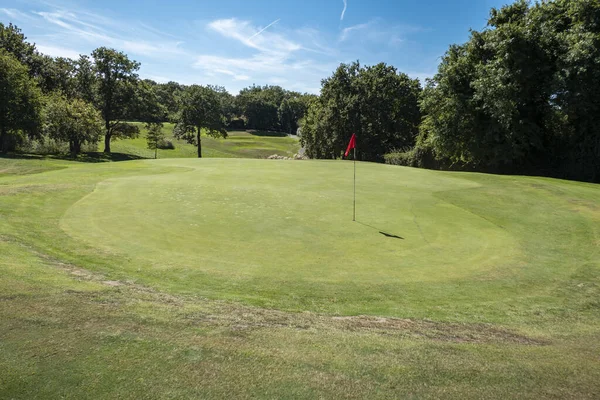 Gräs Golfbana Omgiven Träd Och Röd Flagga Gräsmattan — Stockfoto