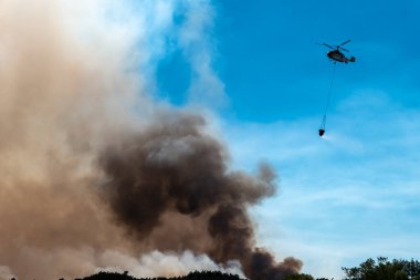 Helikopter çam ağacında yanan bir orman yangını üzerine su boşaltıyor. Büyük beyaz ve siyah bir duman bulutu bırakıyor.
