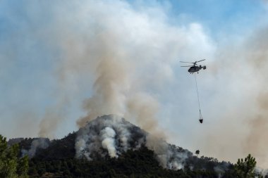 Helikopter çam ağacında yanan bir orman yangını üzerine su boşaltıyor. Büyük beyaz ve siyah bir duman bulutu bırakıyor.