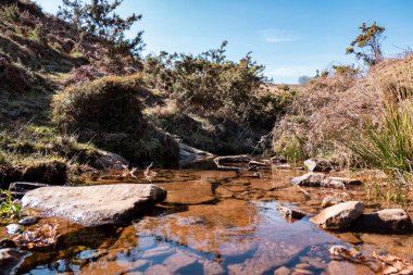 Bask Bölgesi 'ndeki Itxassou' daki Artzamendi Dağı 'ndaki küçük kayaların arasında akan su.