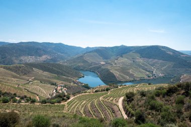 Tepeler, dağlar ve üzüm bağları arasında, Portekiz 'in Tras os Montes kentindeki Douro nehri