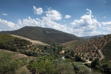 Tepeler ve dağlar arasında Coleja 'daki Douro Nehri' ne akan küçük bir nehir, Tras os Montes, Portekiz