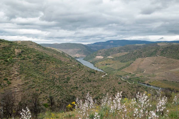 Portekiz 'in Tras os Montes şehrindeki Coa Vadisi' nde bulutlu bir günde, arka plandaki Douro nehri tepeler ve dağlar arasında.