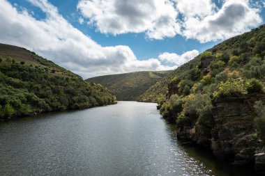 Tepeler, dağlar ve bazı ağaçlar arasında Tras 'taki Douro nehri bulutlu bir günde Portekiz' i kaplar.