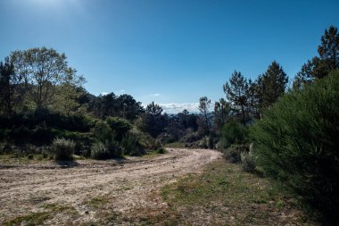 Portekiz, Tras os Montes 'te bir ormanın ortasındaki toprak yol.