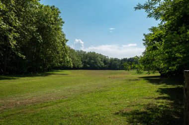 Güzel güneşli bir günde ormanla çevrili yeşil çayır çiftliği.