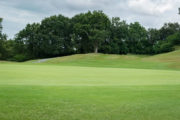 Grön Gräsbevuxen Golfbana Med Några Träd Bakgrunden Mycket Grumlig Dag — Stockfoto